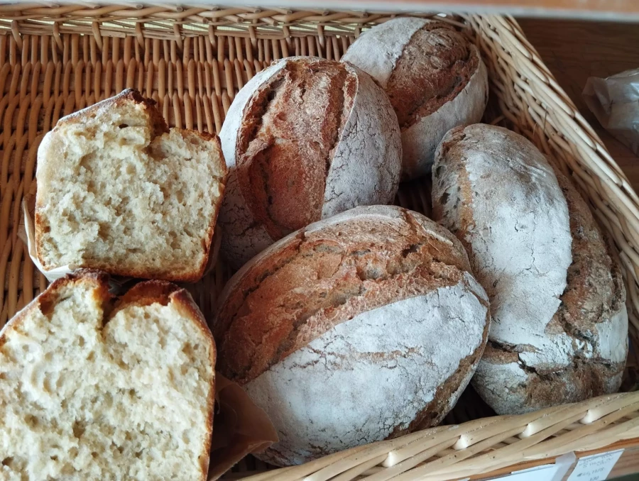 378476629_839143181333834_4491790285430465651_n