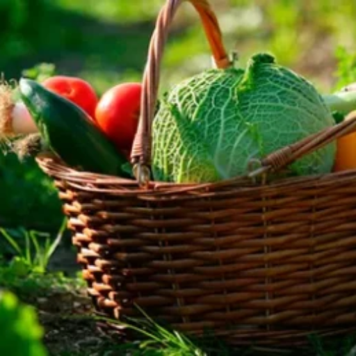 image panier légumes